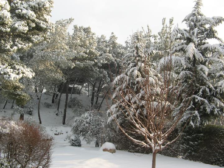 2009-01 006.JPG